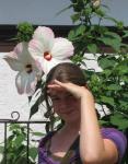Riesenlotus? 2 Blumen